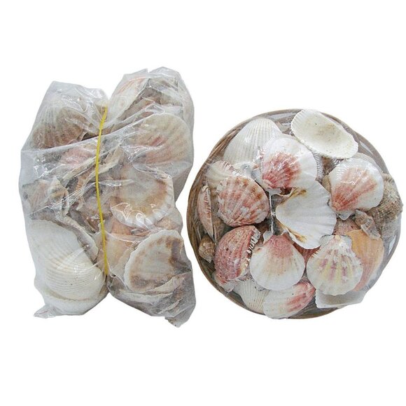 NEW Lot 2 Decorators Choice Seashells Wicker Basket and Bag Nature Decor Crafts - Picture 1 of 7